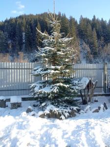 a christmas tree in the yard in the snow at На Березові in Krivorovnya