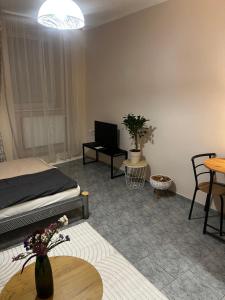 TV a/nebo společenská místnost v ubytování Apartmán u Hradu