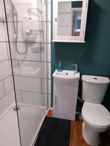 a bathroom with a toilet and a shower and a sink at The Salty Sea Dog - Dog friendly and 2 minutes walk to the beautiful, golden beach in Bridlington