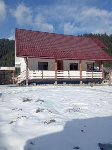 Krivorovnya的住宿－На Березові，雪中带红色屋顶的房子