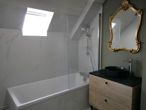 a bathroom with a sink and a shower with a mirror at CHEZ LEO: T2,cosy,metro in Rennes
