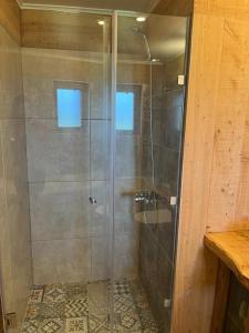プエルト・オクタイにあるRefugio Serenoのバスルーム(ガラスドア付きのシャワー付)