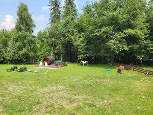 a group of horses grazing in a grass field at Apartament Buczyna in Brenna