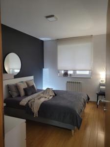 a bedroom with a large bed and a mirror at Apartman Riva in Kraljevo