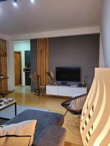 A television and/or entertainment centre at Apartman Riva