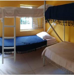 a bedroom with two bunk beds and a ladder at Hostel Aprisco Brasil in Sao Paulo