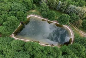 una vista aérea de un lago en un bosque en Casa Parco Nationale del Pollino, en Alessandria del Carretto