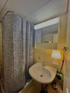 a bathroom with a sink and a shower curtain at Apartment near Central Station in Zurich
