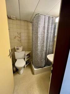 a small bathroom with a toilet and a shower at Apartment near Central Station in Zurich
