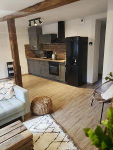 Il comprend un salon avec un réfrigérateur et une cuisine. dans l'établissement Emile&Jeanne - Centre - 2 chambres - Wifi, Netflix, à Wissembourg