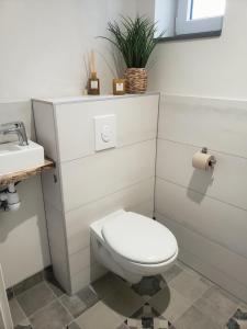 La salle de bains blanche est pourvue de toilettes et d'un lavabo. dans l'établissement Emile&Jeanne - Centre - 2 chambres - Wifi, Netflix, à Wissembourg