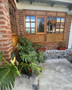 ein Backsteingebäude mit Pflanzen vor dem Fenster in der Unterkunft Cabaña de campo Guano Ecuador in Guano