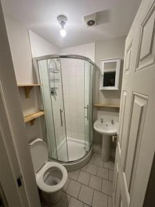 ein Bad mit einer Dusche, einem WC und einem Waschbecken in der Unterkunft Iacomm Newbridge 2 bed apt in Newbridge