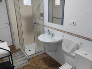 een badkamer met een wastafel en een douche bij Casa Krecheu Loft in Pontevedra