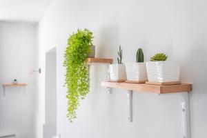 a shelf with potted plants on a wall at Cosy apartment in the heart of Marseille - Welkeys in Marseille