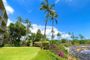 Φυσικό τοπίο κοντά σε αυτό το διαμέρισμα