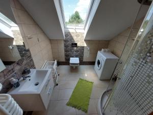 a bathroom with a sink and a toilet and a shower at Agroturystyka Leśna Malinka in Celejów +23 photos