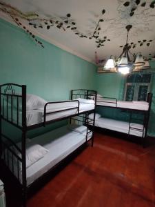 two bunk beds in a room with a ceiling at Sweet Home Hostel in Baku