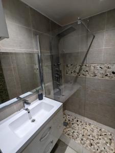 ein Bad mit einem Waschbecken und einer Glasdusche in der Unterkunft Appartement 2 pièces proche de Paris in Charenton-le-Pont