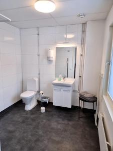 a bathroom with a toilet and a sink and a mirror at Rentalux Apartments at Vivansborg in Timrå