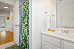 un bagno bianco con lavandino e tenda per la doccia di Belmont Oasis I Downtown Cville a Charlottesville Altre 39 foto