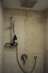 a shower with a shower head in a bathroom at Deluxe-Apartment Altstadt in Ettlingen