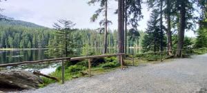 un chemin à côté d'un lac avec une clôture en bois dans l'établissement Fewo-Harlachberg-Blick-1, à Bodenmais