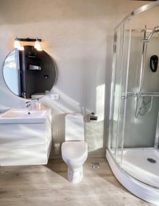 a bathroom with a toilet and a sink and a shower at Haukaberg House in Höfn