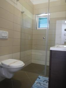 a bathroom with a toilet and a shower and a sink at Apartments Eva in Malinska +30 photos
