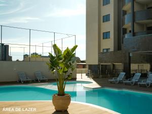 une plante en pot assise sur une table à côté d'une piscine dans l'établissement ApartDamani, à Foz do Iguaçu