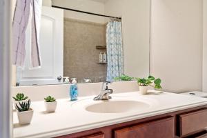 a bathroom sink with potted plants on it at Crowley Home w/Wi-Fi & Foosball in Crowley