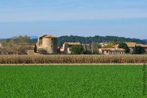 a field of green grass next to a village at CAN PLANAS , Estudio Familiar in Fonolleras