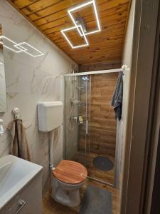 ein Bad mit einer Dusche, einem WC und einem Waschbecken in der Unterkunft Holiday Home Paradiso Verde in Luka