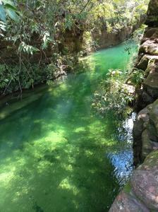 a stream of green water with rocks and trees at Temporada em família e amigos. in Barra do Garças