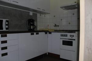 Kuchyň nebo kuchyňský kout v ubytování Tauplitz Apartment