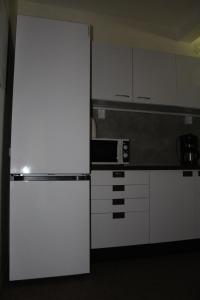Kuchyň nebo kuchyňský kout v ubytování Tauplitz Apartment