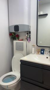 a bathroom with a toilet and a sink and a mirror at C12 Deluxe in Cap d'Agde