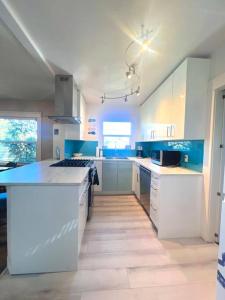 a large kitchen with white counters and blue cabinets at Casita California - Private house with backyard in San Diego