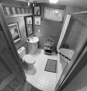 a bathroom with a toilet and a sink and a shower at Escarpment Dwelling! in Hamilton