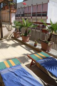 Elle comprend une terrasse avec 2 lits et des plantes en pot. dans l'établissement One bedroom appartement at Barletta 900 m away from the beach with terrace and wifi, à Barletta