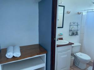 a white bathroom with a sink and a toilet at Hotel Perico Azul & Surf Camp in Jacó