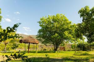 un campo con una cabaña, árboles y montañas en Recanto Tauane Liz en Jequié