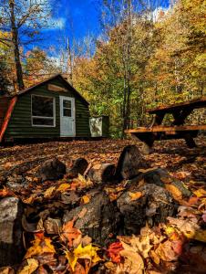 a picnic table and leaves in front of a cabin at Aux Berges du lac Castor in Saint-Paulin