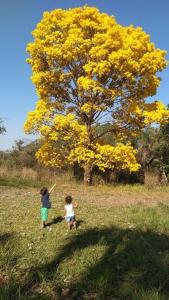 two children flying a kite in a field with a tree at Casa Bosque da Saudade in Barra do Garças
