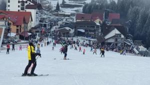 a large group of people skiing on a ski slope at Pensiunea Tania in Ranca