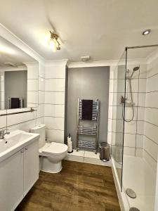 a bathroom with a toilet and a sink and a shower at The Grapevine in Cambridge
