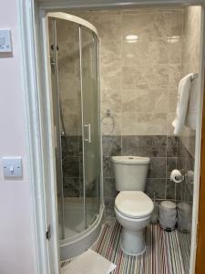 W łazience znajduje się toaleta i przeszklony prysznic. w obiekcie Leman House w Londynie