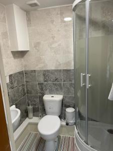 ロンドンにあるLeman Houseのバスルーム(トイレ、ガラス張りのシャワー付)