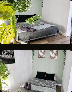 カルカソンヌにあるAPPARTEMENTS 24h 7jの植物のある部屋のベッド2台の写真2枚