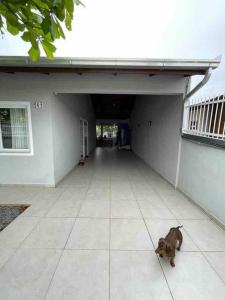 a dog laying on the floor of a garage at Casa de praia aconchegante in Barra Velha